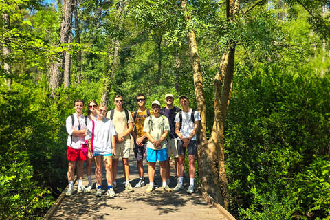 Durrës: Divjakë Agriculture & Karavasta Lagoon Boat Day Trip