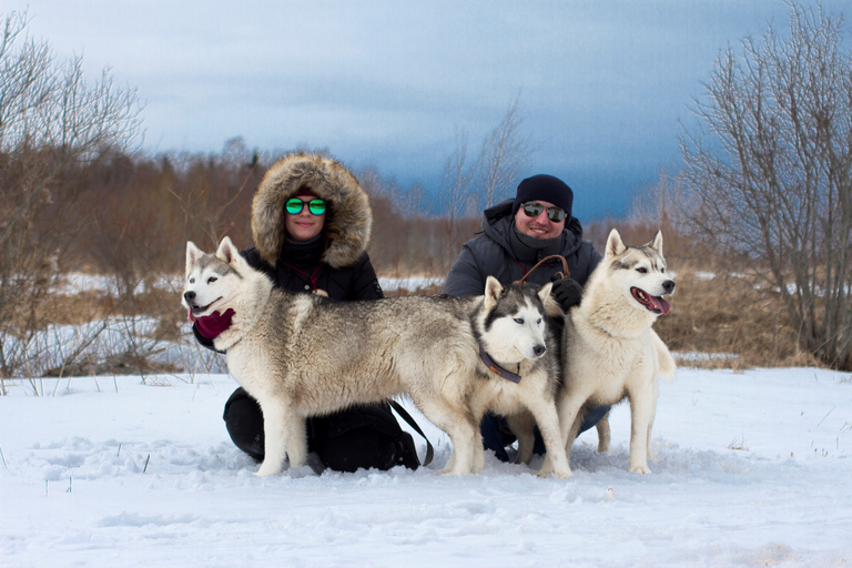 De Tallinn: Visita ao Husky Park com caminhada de Cani-CrossDe Tallinn: Visita ao parque dos Huskies com caminhada de Cani-Cross