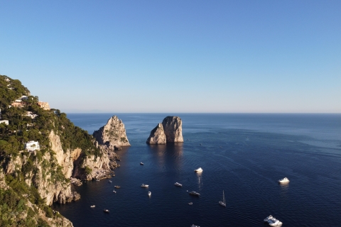 Von Sorrento aus: Capri Halbtags-YachttourCapri Halbtagestour von Sorrent aus