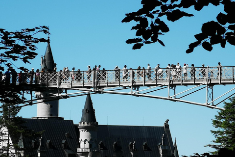 Monaco di Baviera: Escursione privata di un giorno a Neuschwanstein e al Castello di Linderhof