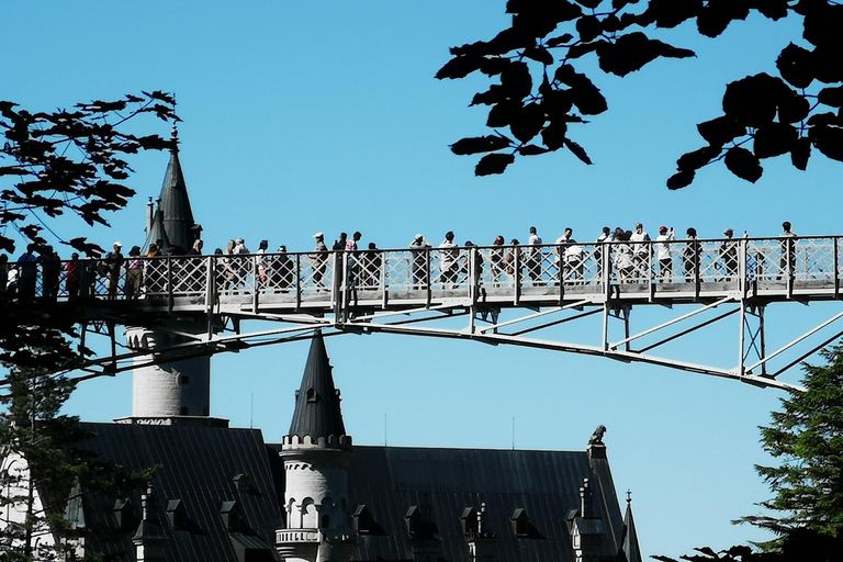 Monaco di Baviera: Escursione privata di un giorno a Neuschwanstein e al Castello di Linderhof