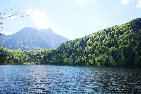 Monaco di Baviera: Escursione privata di un giorno a Neuschwanstein e al Castello di Linderhof