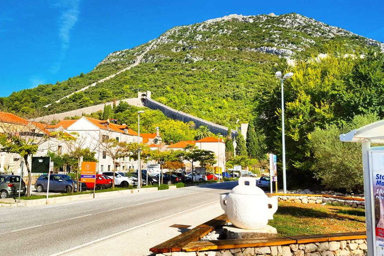 Från Dubrovnik: Majkovi Village och Ston privat matresaFrån Dubrovnik: Majkovi Village och Ston Privat matresa