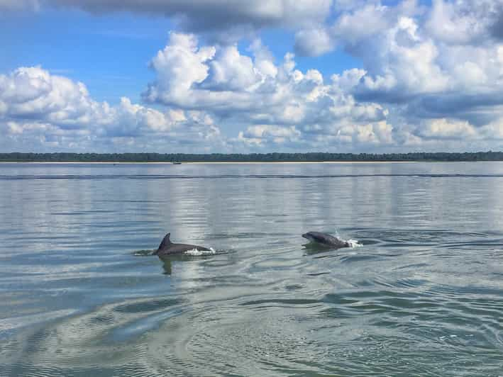 tiki dolphin tour hilton head