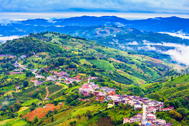 Chiang Rai: Private Tour of Temples, Tea Garden, Hill Tribes