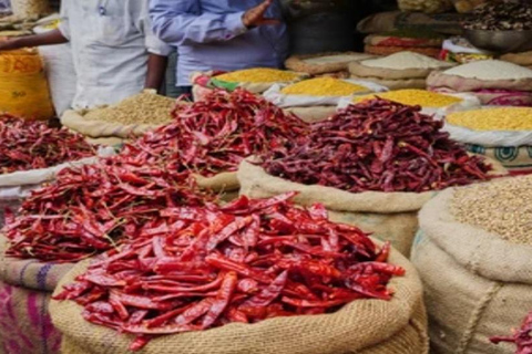 Delhi: oude en nieuwe Delhi, rondleiding van een hele of halve dagHaif-Day New Delhi Tour met auto, gids en chauffeur