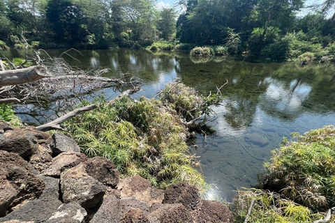 From Nairobi: Mzima Springs Wildlife Tour