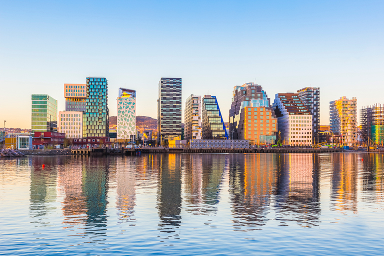 Oslo: Grote stadsrondleiding en fjordcruiseOslo: grote stadstour en boottocht langs de fjorden