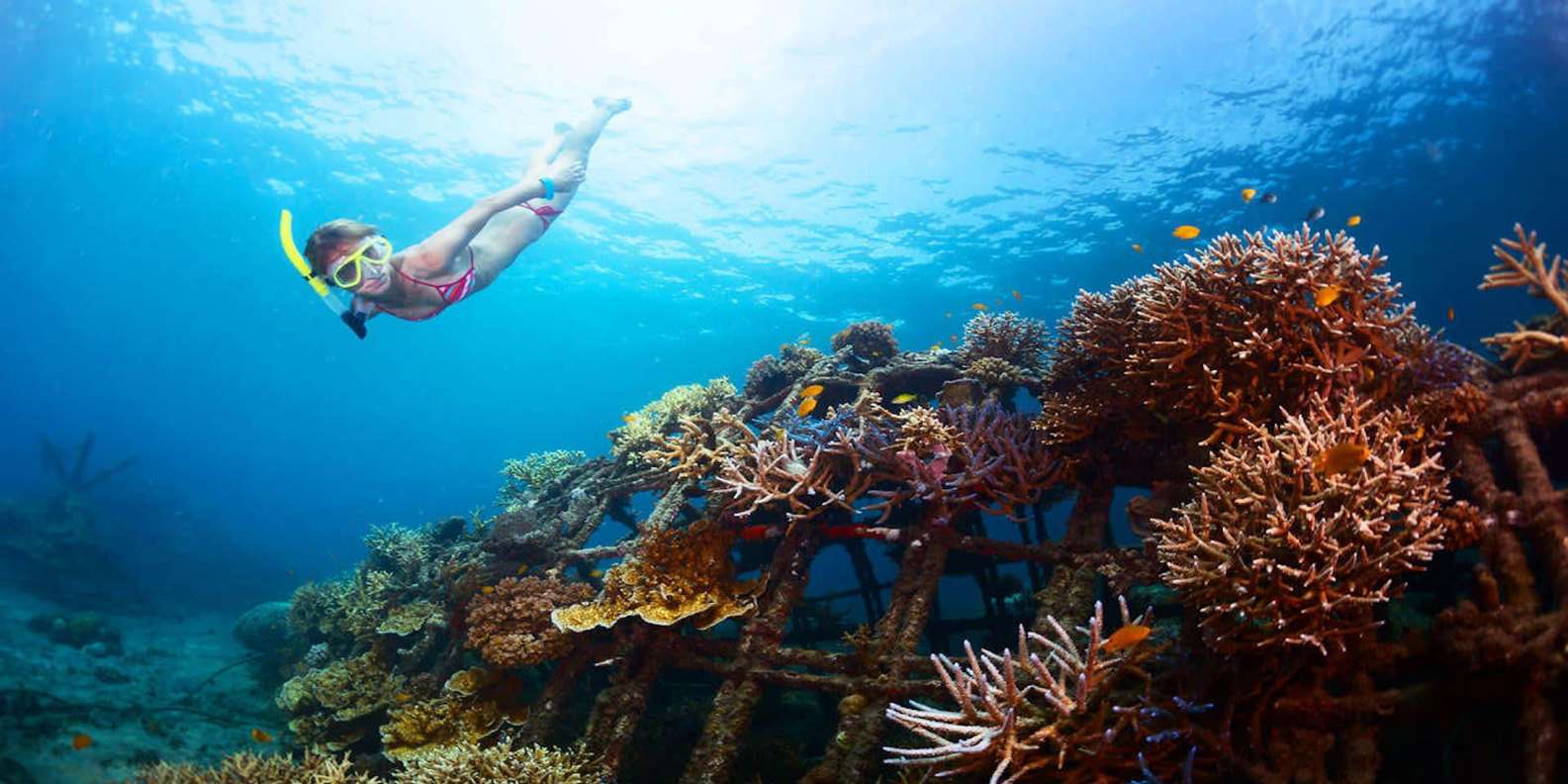 Ubud: Tegenungan Waterfall, Snorkeling, and Canyoning Tour