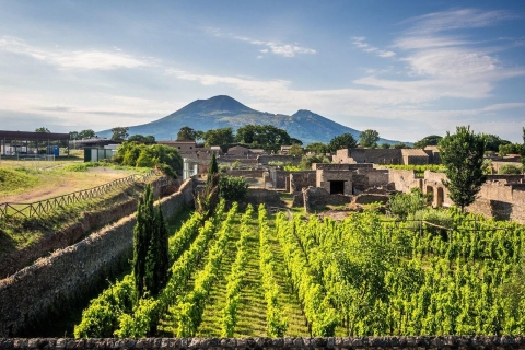 Guía oficial de Pompeya Tour privado y experiencia en el viñedo