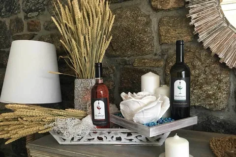 Mykonos: Half-Day Wine Tasting and Snack at a Local House