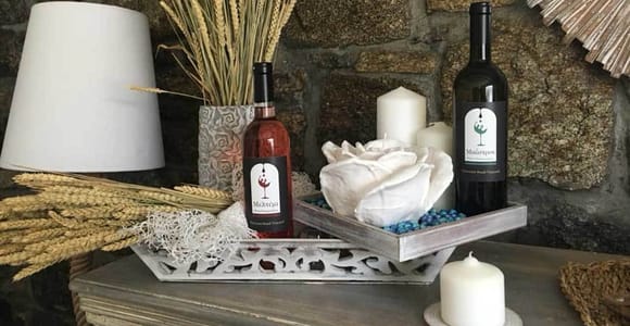 Mykonos: Half-Day Wine Tasting and Snack at a Local House