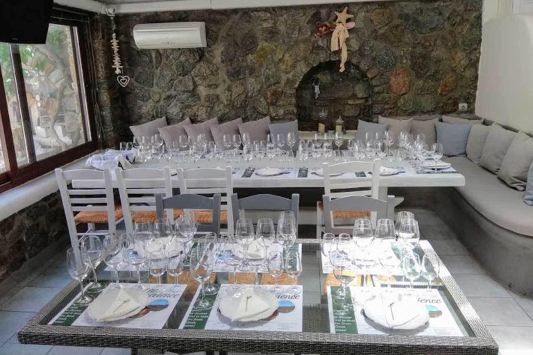 Mykonos: Dégustation de vin d'une demi-journée et repas dans une maison locale