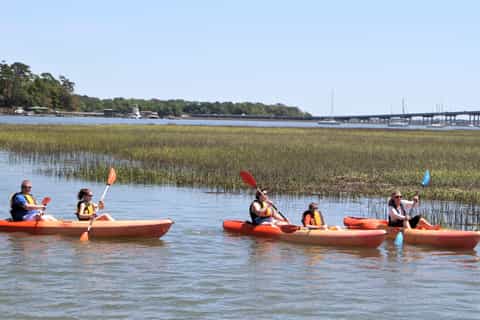Hilton Head Island: 1.5-Hour Guided Small-Group Kayak Tour