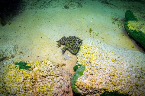 From Yerevan: Lake Sevan Beginner Scuba Diving Trip