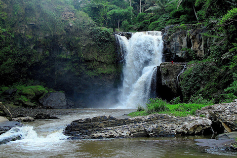 East Bali: Snorkeling, Canyoning, and Waterfall Day Trip