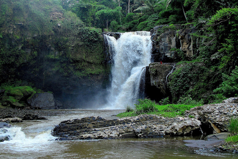 East Bali: Snorkeling, Canyoning, and Waterfall Day Trip