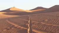 Excursión de 7 días al Sahara y las ciudades imperiales desde Marrakech - Hizvo