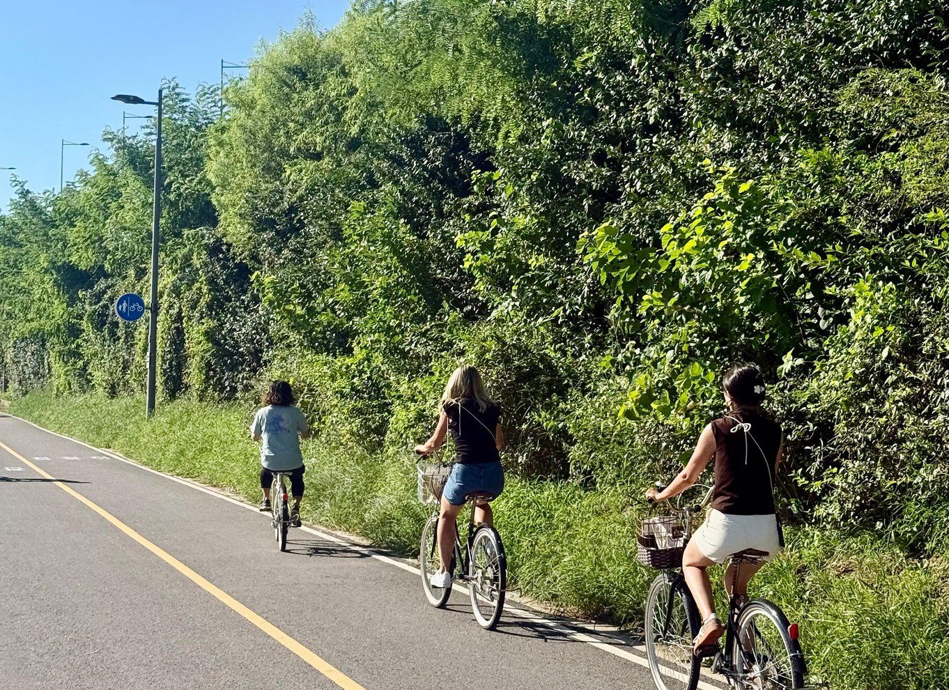 Seoul: Cykeltur om morgenen langs Han-floden