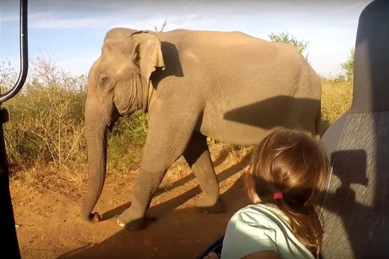 Bentota: visite d'éléphant, de forêt tropicale et de village de 2 jours