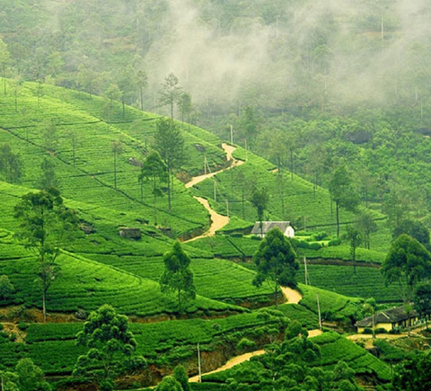 Nature & adventure