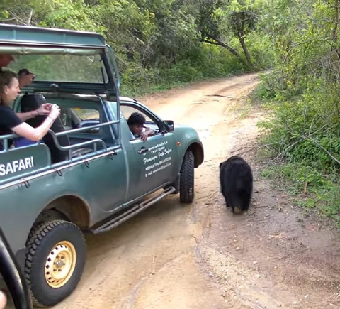 Sightseeing on wheels