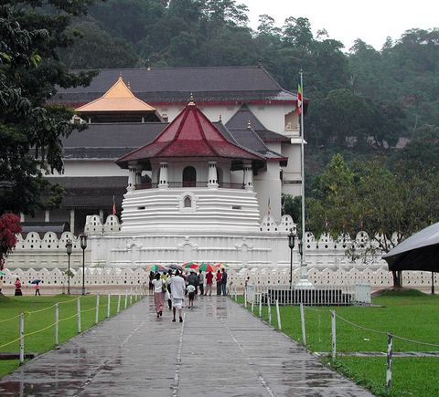 Guided tours