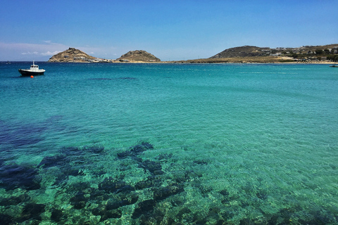 Mykonos: Ganztägige Schifffahrt an der Südküste