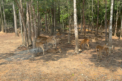 Parc à thème VinWonders et safari à Phu QuocVisite autonome : Vinwonder &amp; Safari Combo