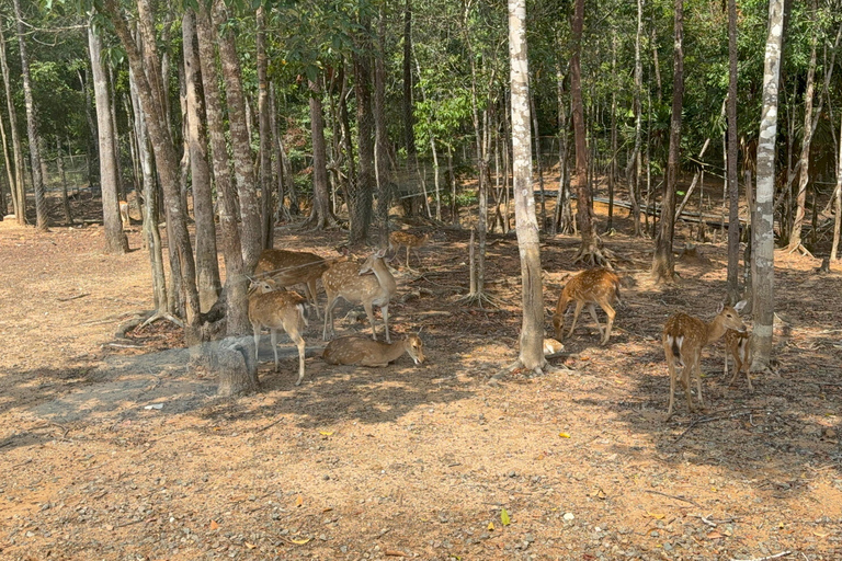 Parc à thème VinWonders et safari à Phu QuocVisite autonome : Vinwonder &amp; Safari Combo