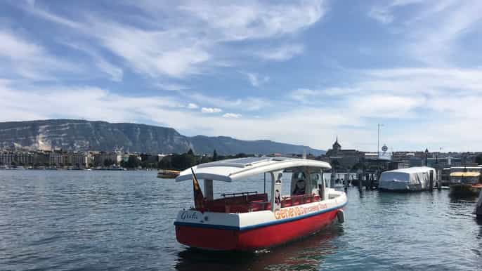 geneva 48hour hoponhopoff tour with cruise