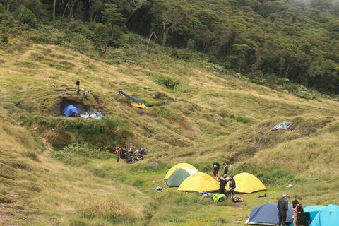 Mount Gede: 2-Day Hiking and Camping Adventure from Jakarta Thrilling Adventure with Mount Gede Hike and Camp 2D1N Tour!