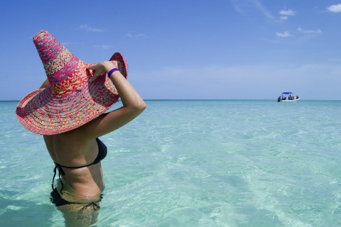 Riviera Maya: Holbox Island-dagtrip en safari met lunchVanaf Playa del Carmen/Puerto Morelos/Akumal/Puerto Aventuras