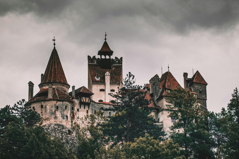 Bucareste: Castelos de Drácula e Peles para particulares