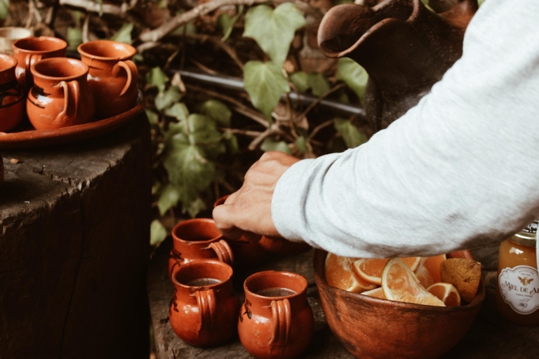 CDMX: TEMAZCAL Healing &amp; reningsceremoni ritual zapoteco