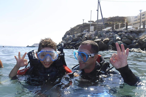 Heraklion: Scuba Diving Experience for Beginners