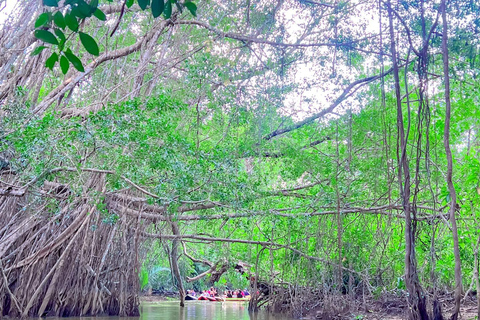 A pequena Amazônia de Khao Lak: Viagem de 1 dia em canoa, trilha e cachoeira