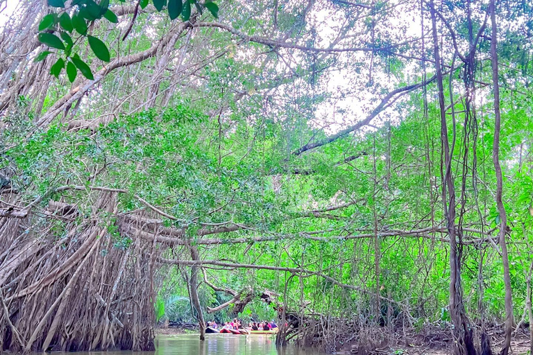 Khao Laks lilla Amazonas: Dagsutflykt med kanot, vandring och vattenfall