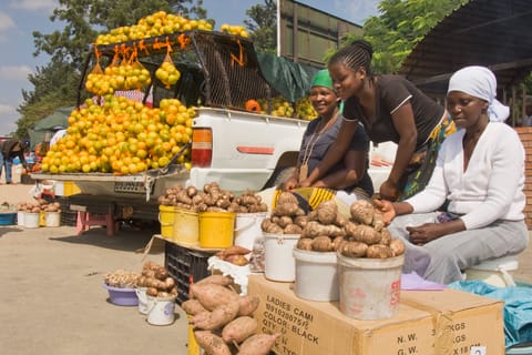 Cape Town: Half Day Township Small Group Tour with BBQ Lunch