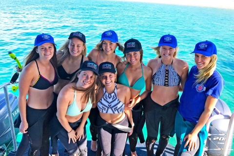 Gold Coast: snorkel en Wave Break Island