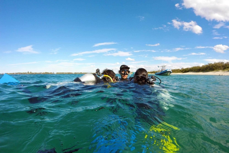 Gold Coast: plongée avec tuba à Wave Break Island