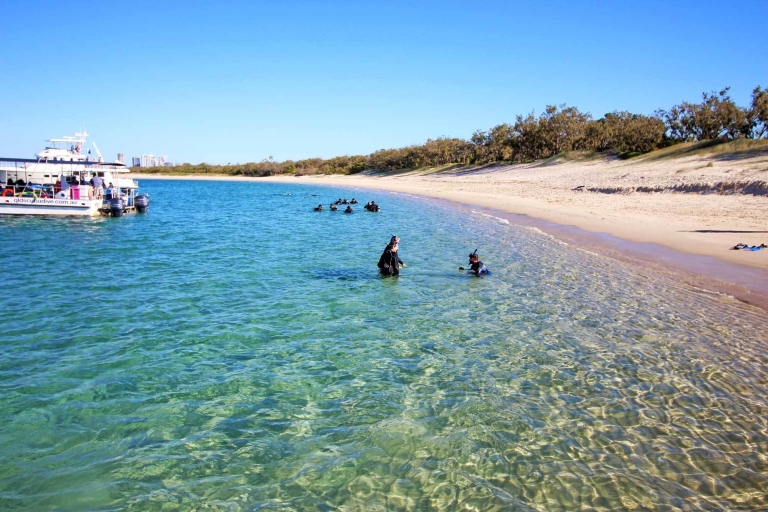 Gold Coast: snorkel en Wave Break Island
