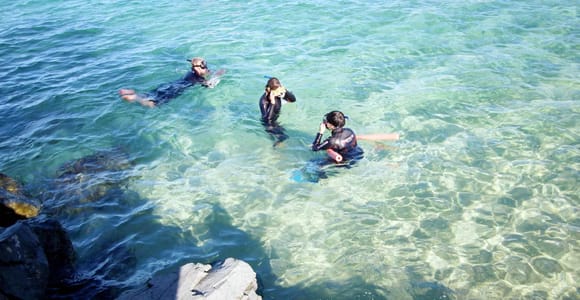 Gold Coast: Snorkelling at Wave Break Island