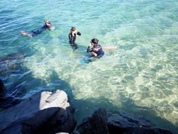 Côte d'or : Plongée en apnée à Wave Break Island
