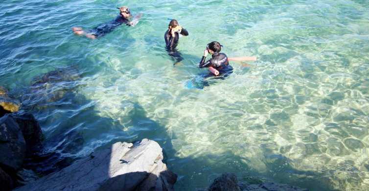 Gold Coast Snorkelling in Wave Break Island