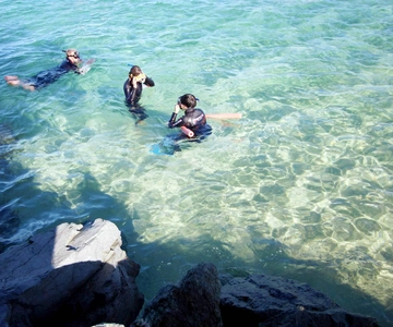 Gold Coast: Snorkelling in Wave Break Island