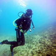 Gold Coast: 3-Day PADI Open Water Course