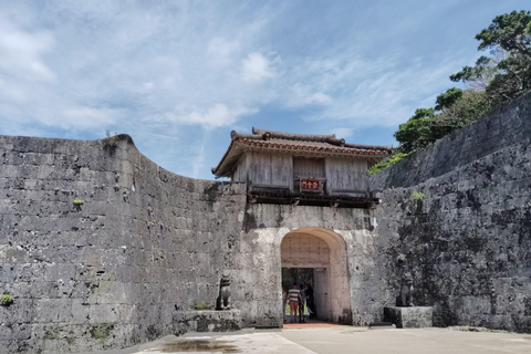 Naha: Shurijo Castle & Tamaudun Guided Walking Tour Morning visit