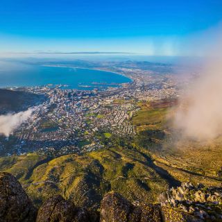 Penisola del Capo e Table Mountain: tour con super offerta