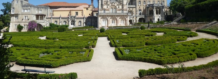 Une aventure dans la forêt et le palais de Bussaco - Coim